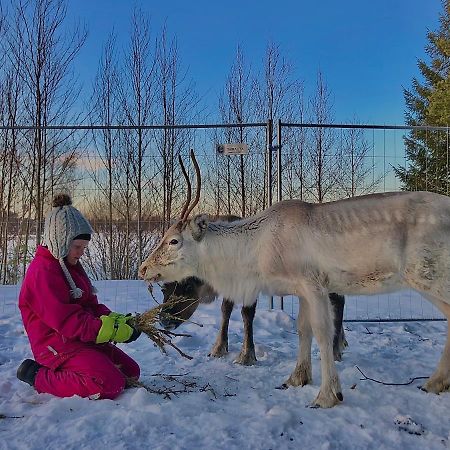 Beautiful Rural Experience With Reindeer Villa Tervola ภายนอก รูปภาพ