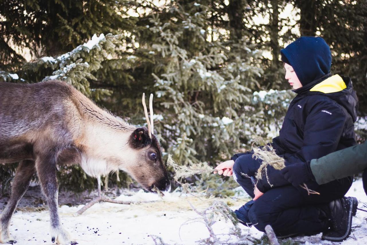 Beautiful Rural Experience With Reindeer Villa Tervola ภายนอก รูปภาพ