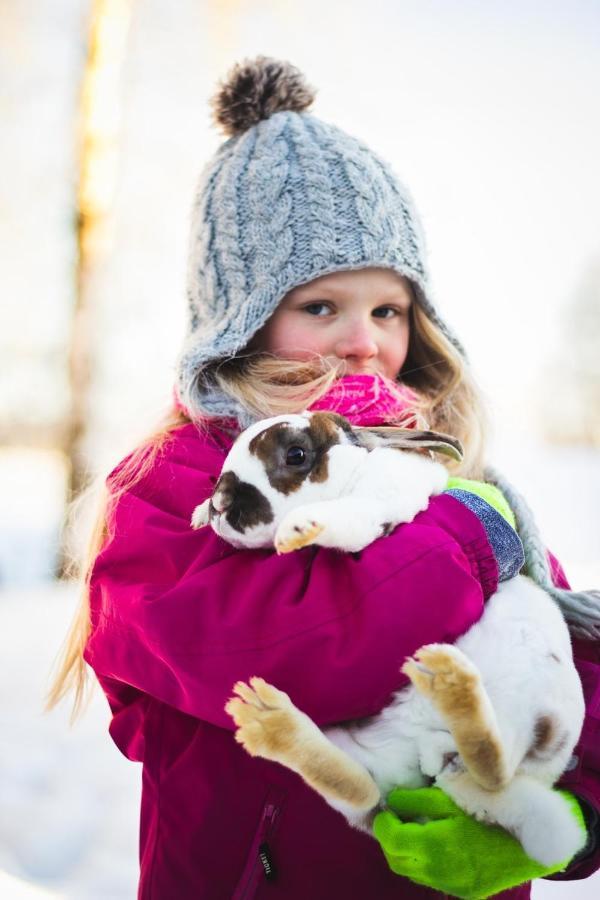 Beautiful Rural Experience With Reindeer Villa Tervola ภายนอก รูปภาพ