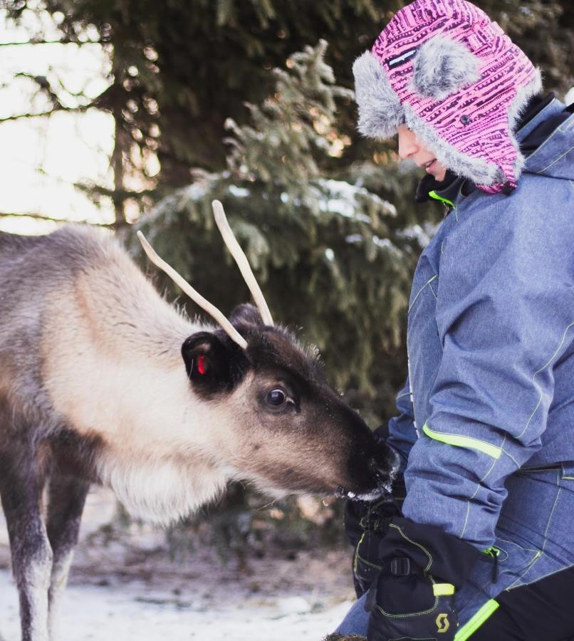Beautiful Rural Experience With Reindeer Villa Tervola ภายนอก รูปภาพ