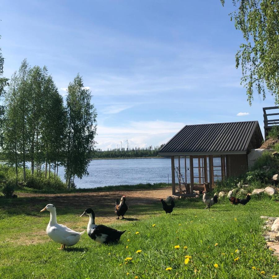 Beautiful Rural Experience With Reindeer Villa Tervola ภายนอก รูปภาพ