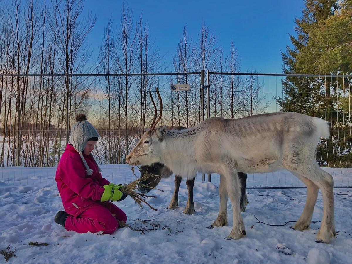 Beautiful Rural Experience With Reindeer Villa Tervola ภายนอก รูปภาพ