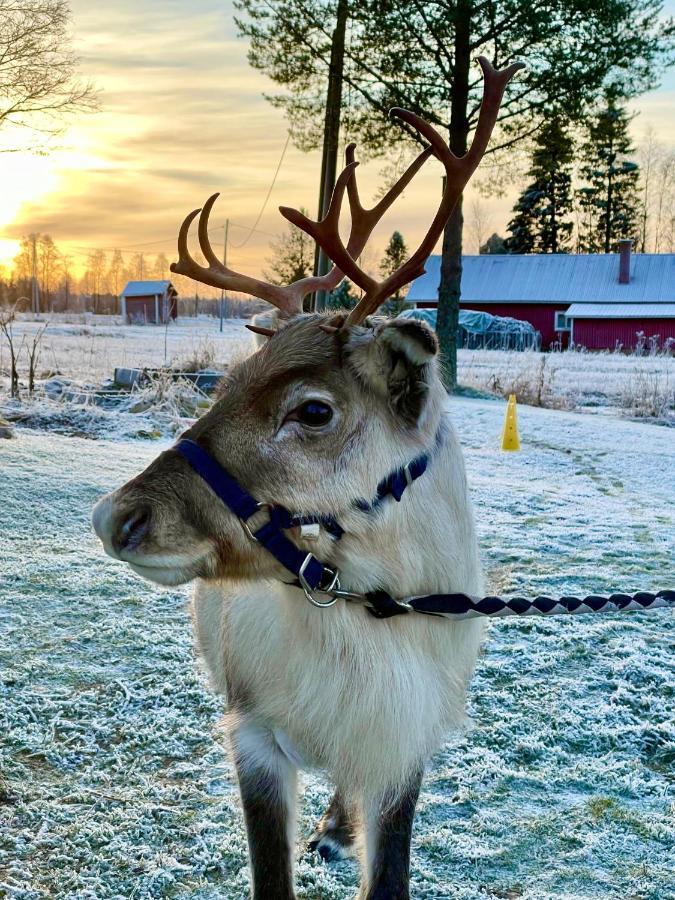 Beautiful Rural Experience With Reindeer Villa Tervola ภายนอก รูปภาพ
